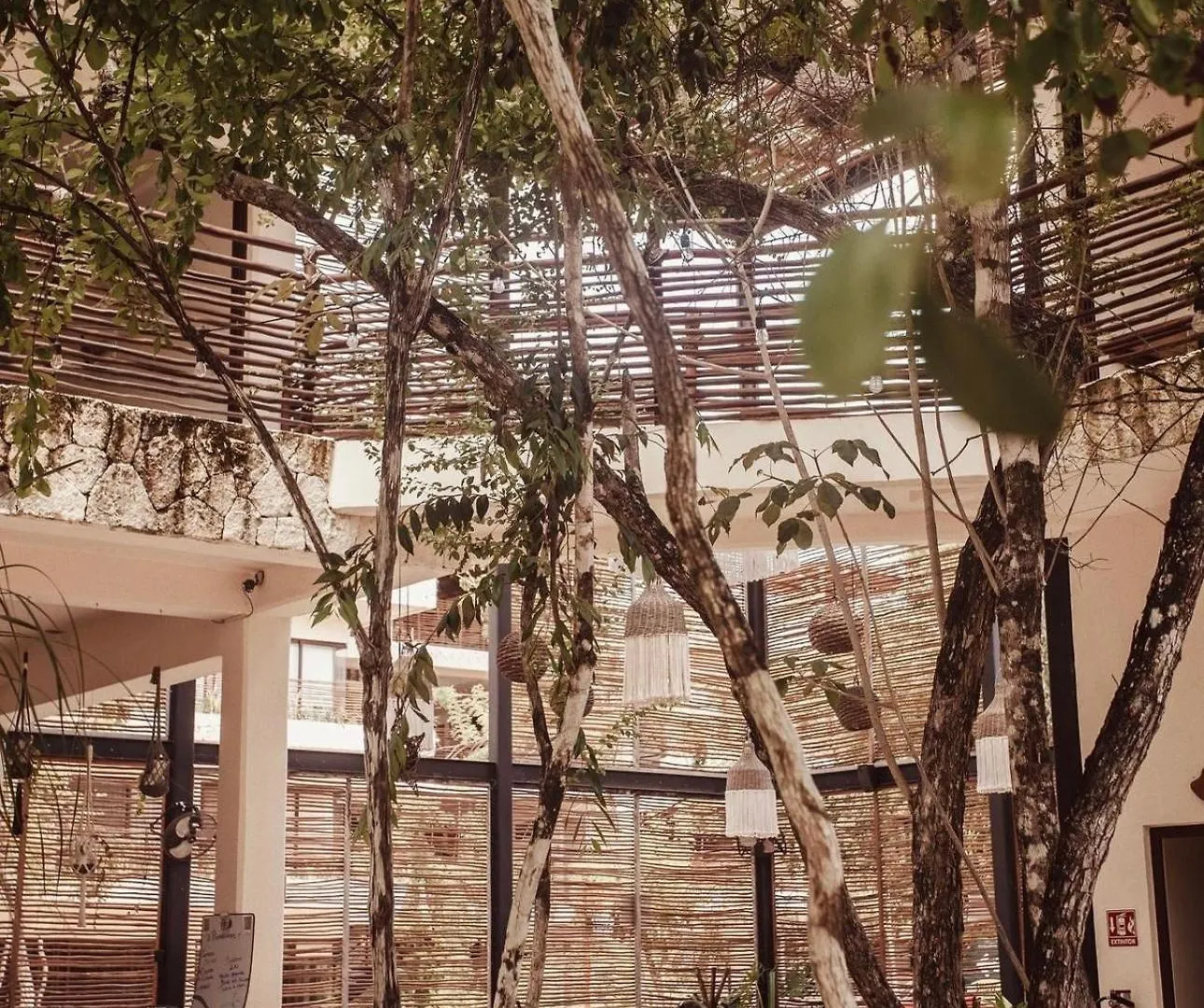 Selva Norte Alamo Tulum Apartment Mexico